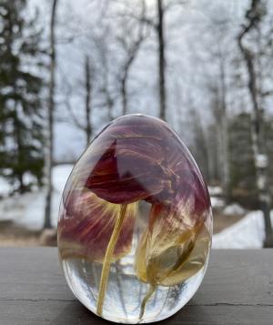 Tulip Egg