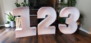 Letter or Number Frame for Balloon Mosaic - 30 inches high
