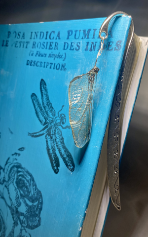 Dragonfly Wing Bookmarks