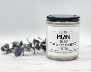 I am not Mean - Coconut Soy Candle