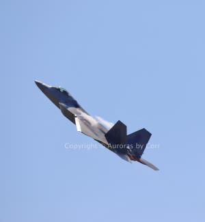 F-22 Raptor in Flight - Photographic Print - Matted