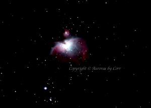 Orion Nebula